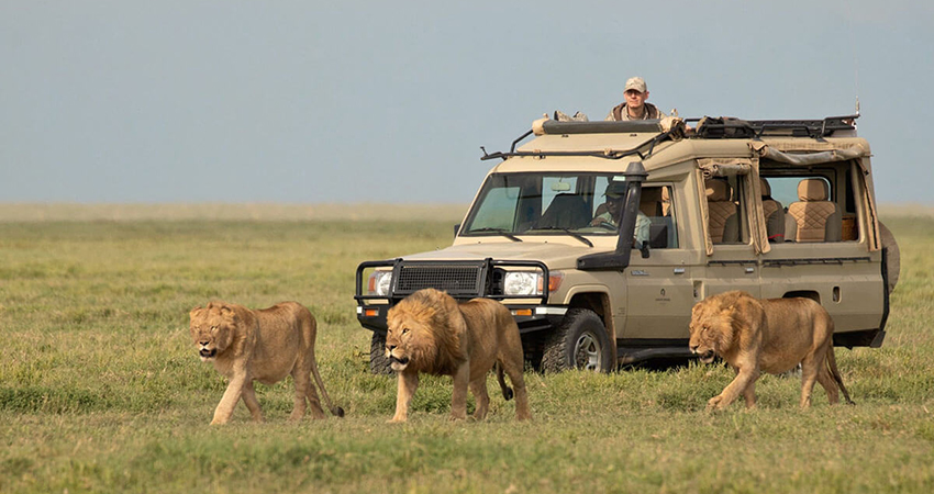 3-days-serengeti-national-park 3-days-serengeti-national-park