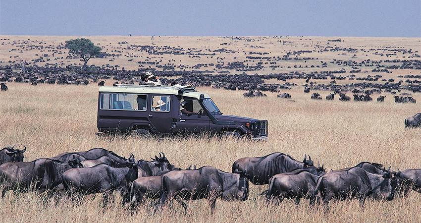 Maasai-Mara-National-Reserve-joyina-safaris Maasai-Mara-National-Reserve-joyina-safaris