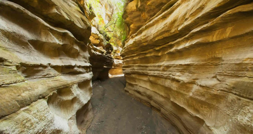 Hells Gate National Park Day Trip