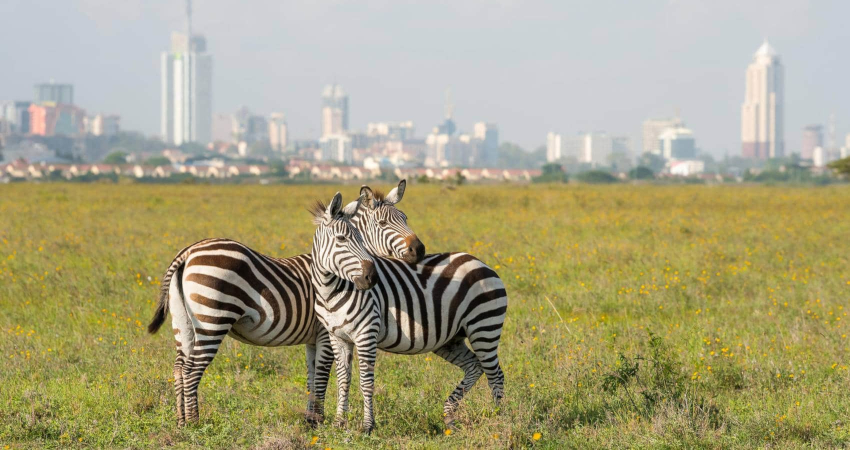 nairobi national park